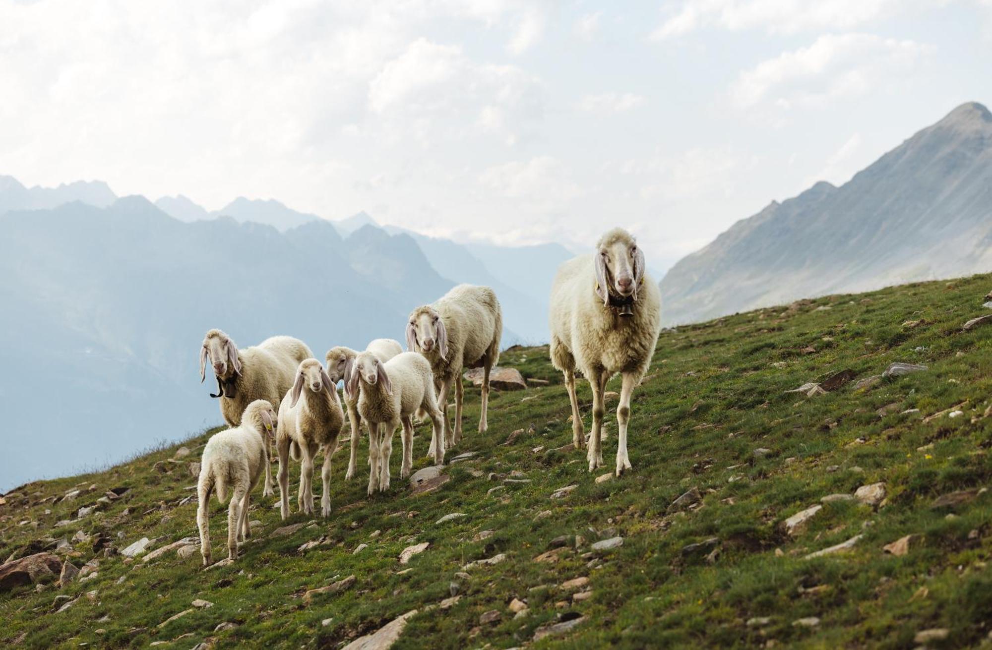 Apart Talblick Sölden Buitenkant foto